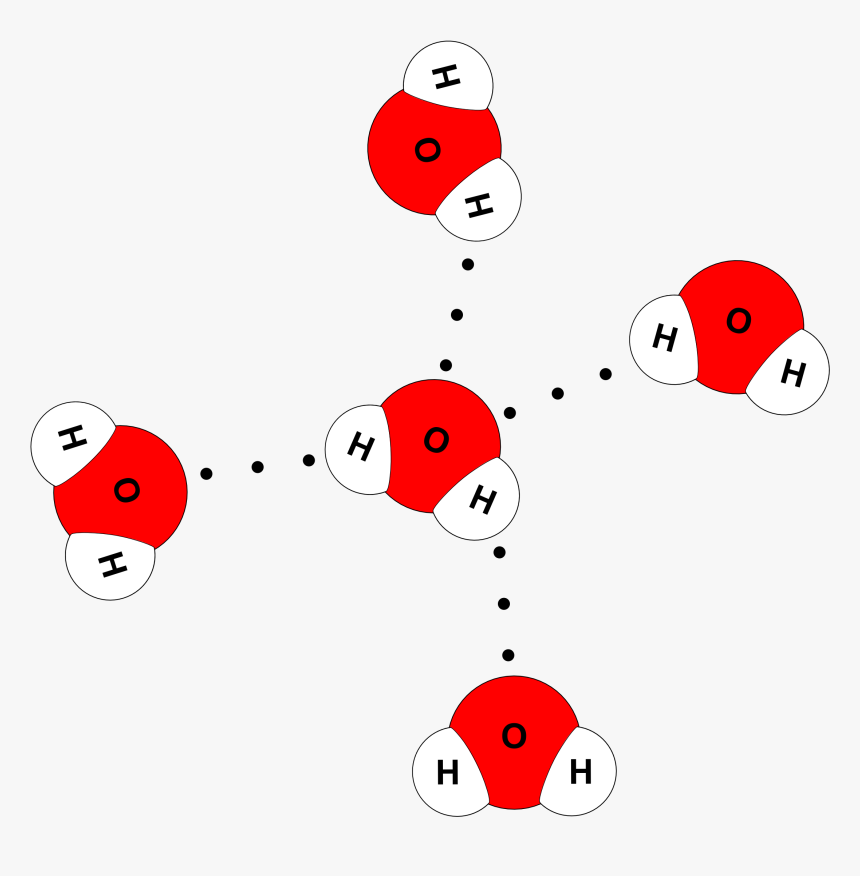 Water Molecule 4 Hydrogen Bonds, HD Png Download , Transparent Png Image - PNGitem