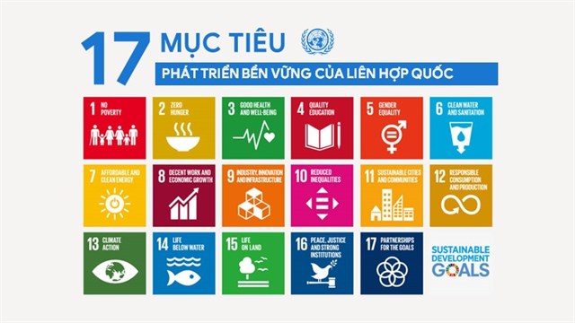 Lý thuyết về Liên hợp quốc, Lịch sử 12, sách Kết nối