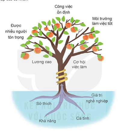 Mô hình lí thuyết cây nghề nghiệp.olm