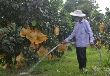 Công nghệ 9, Tưới nước cho cây.olm