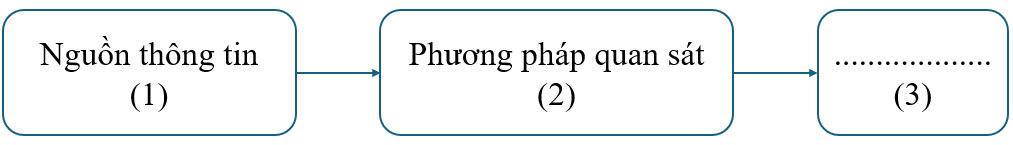 Công nghệ 10, Sơ đồ chuỗi quy trình của phương pháp quan sát