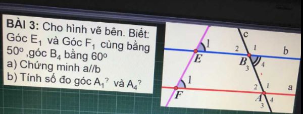 Bài tập Tất cả