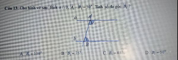 Bài tập Tất cả