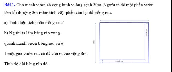 Bài tập Tất cả