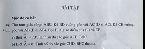 Bài tập Tất cả