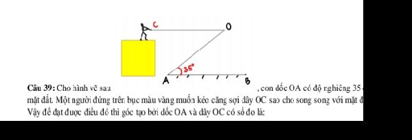 Bài tập Tất cả