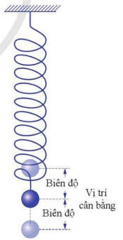 Hình 2.3. Con lắc lò xo treo thẳng đứng