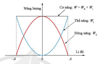 Hình 3.3. Đồ thị biểu diễn sự thay đổi động năng, thế năng và cơ năng dao động của con lắc đơn theo li độ