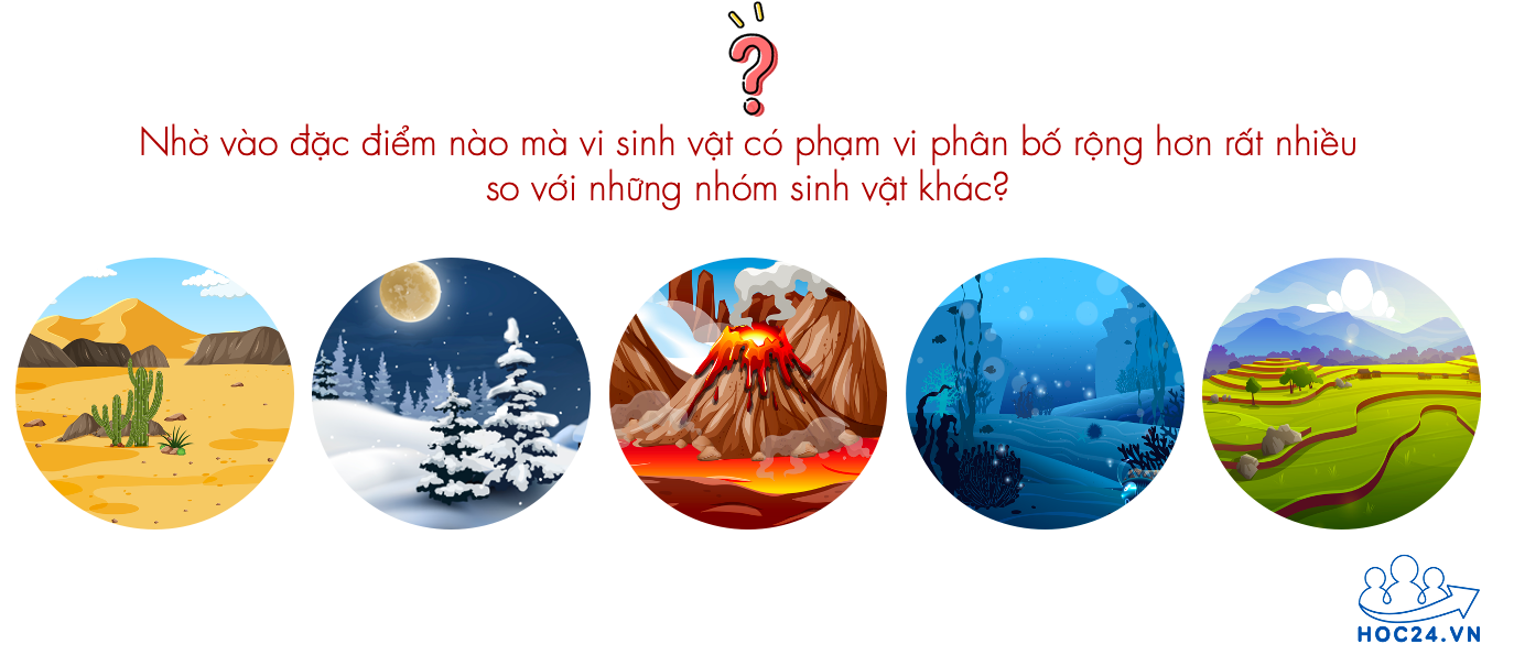 Phạm vị phân bố của vi sinh vật