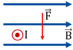 vật lí, lớp 12, lực từ