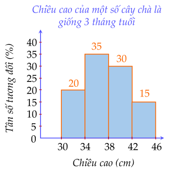 chiều cao của một số cây chà là giống 3 tháng tuổi.