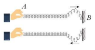 Hình 4.3. Biến dạng của lò xo đổi chiều khi đến đầu cố định