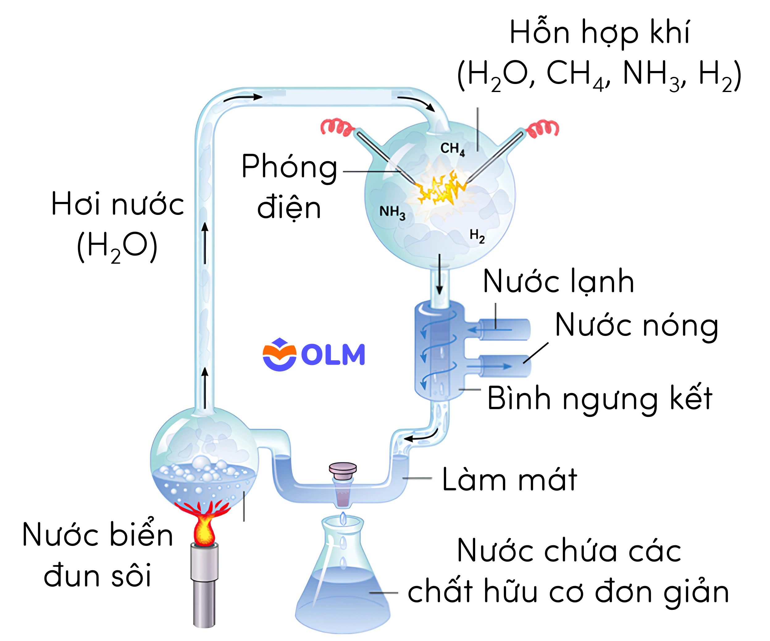 sinh học 12, thí nghiệm của Miller và Urey