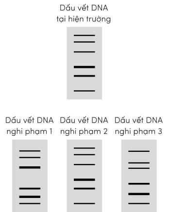 KHTN 9, dấu vết DNA