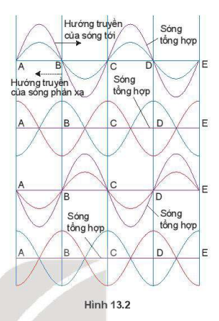 Hình 13.2