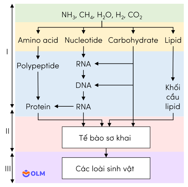 sinh học 12, sơ đồ các giai đoạn sự sống trên Trái Đất