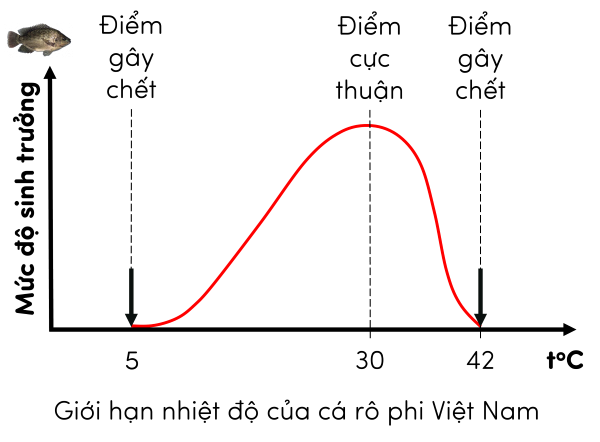 sinh học 12, giới hạn nhiệt độ của cá rô phi Việt Nam