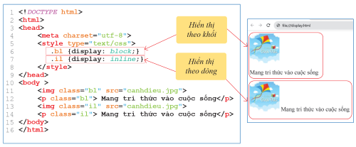 kết quả hiển thị, olm