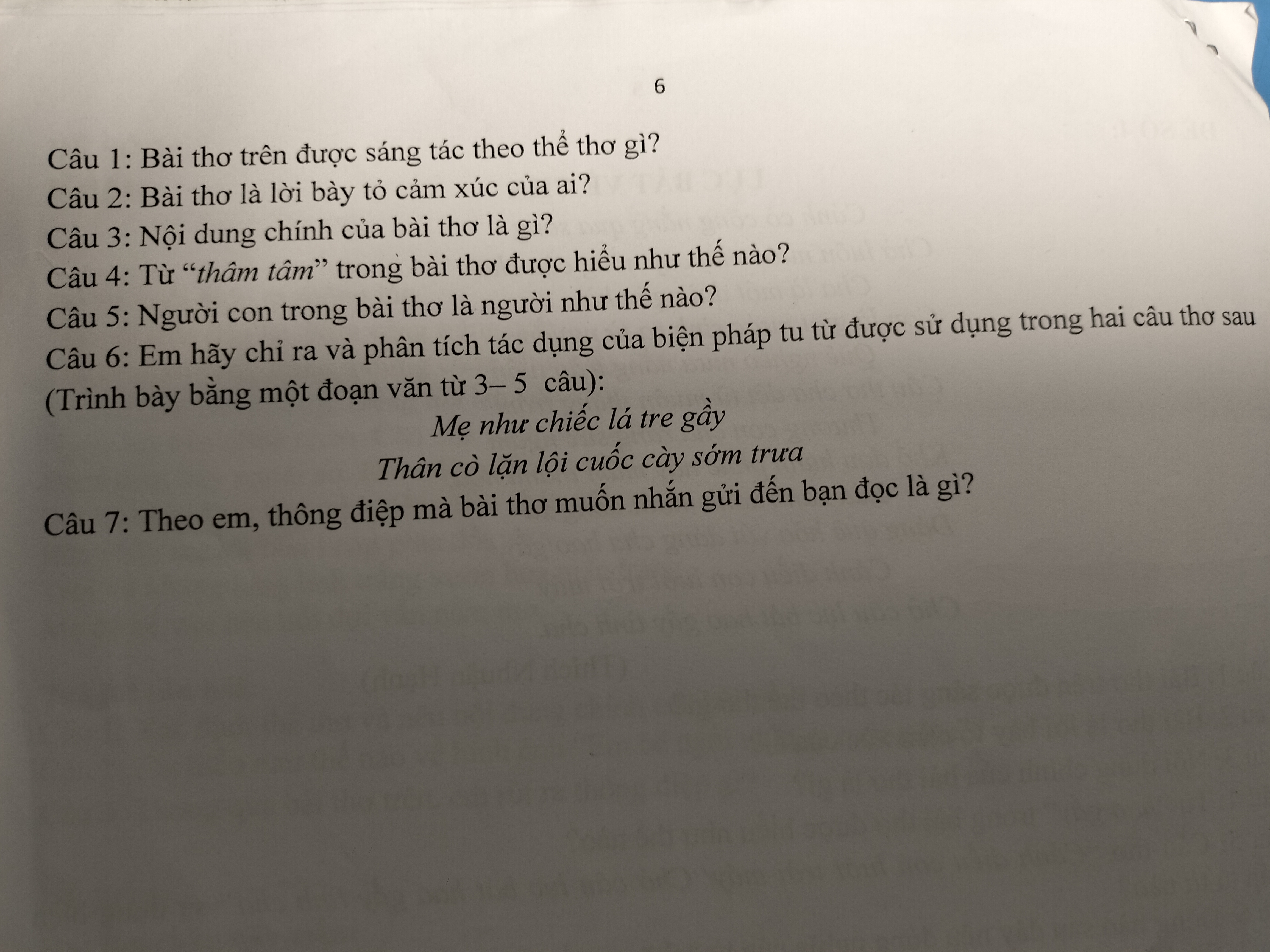 Câu hỏi bài dáng mẹ