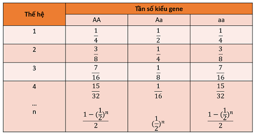 sự biến đổi tần số các kiểu gene trong quần thể tự thụ phấn, hoc24.