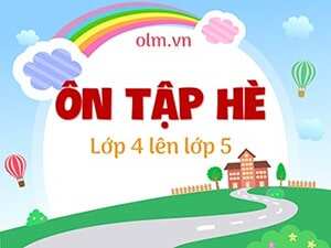 Ôn tập tổng hợp