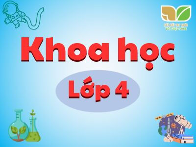 Khoa học lớp 4 Kết nối tri thức với cuộc sống