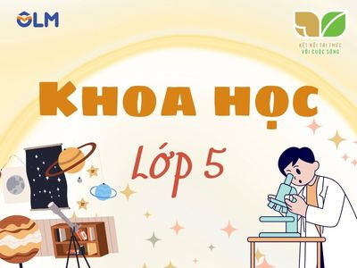 Khoa học 5 (Kết nối tri thức với cuộc sống)