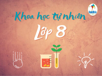 Khoa học tự nhiên 8 (Cánh diều)