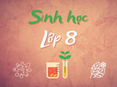 Sinh học 8 (chương trình cũ)