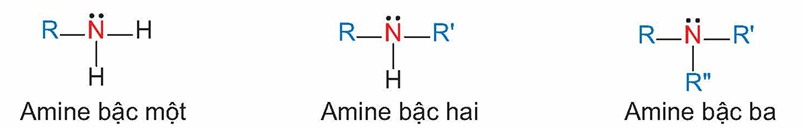 Phân loại theo bậc amine hoc24