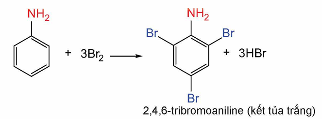 Aniline + Br2 hoc24