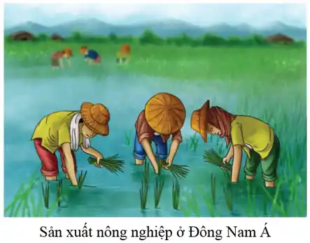 sản xuất nông nghiệp