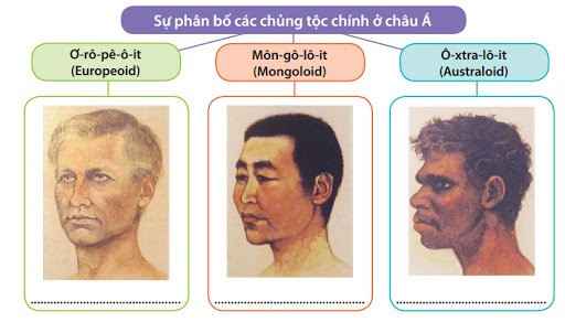 Sự phân bố dân cư