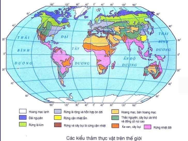 Các kiểu thảm thực vật