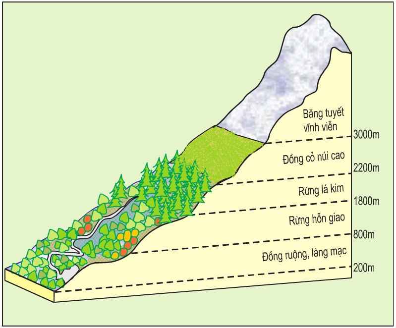 Mô phỏng sự phân bố các vành đai thực vật theo độ cao địa hình
