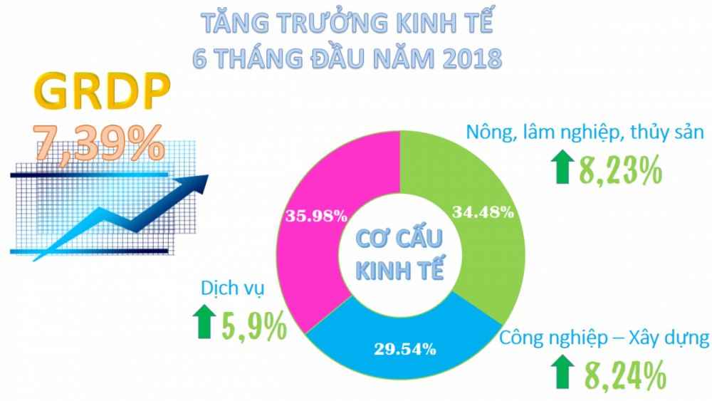 Biểu đồ thể hiện cơ cấu kinh tế theo ngành ở Việt Nam 6 tháng đầu năm 2018