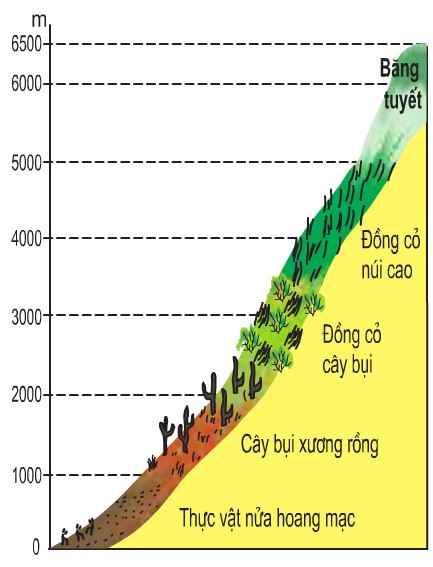 Phân hóa cảnh quan theo đai cao