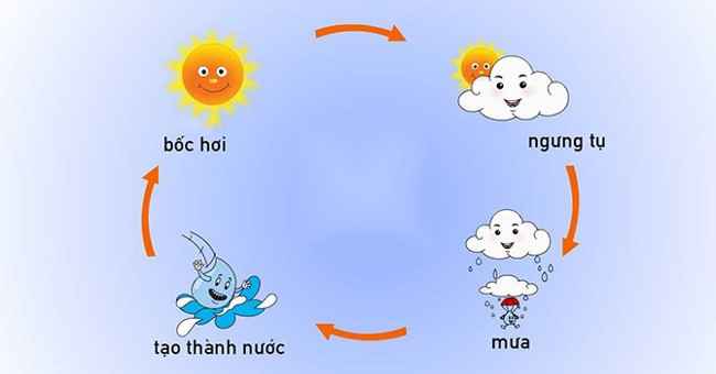 CÁC NHÂN TỐ ẢNH HƯỞNG ĐẾN LƯỢNG MƯA