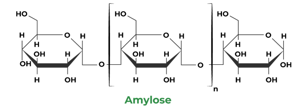 Hóa học 12, amylose, hoc24