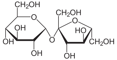 Saccharose hoc24