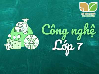 Công nghệ 7 Kết nối tri thức với cuộc sống