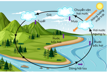 KHTN 9, vòng năng lượng theo vòng tuần hoàn của nước