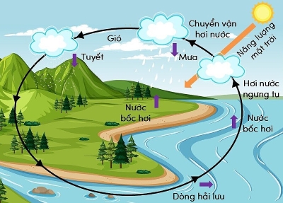 khoa học tự nhiên, lớp 9, vòng năng lượng nước