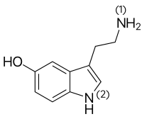 Hóa học 12, Serotonine