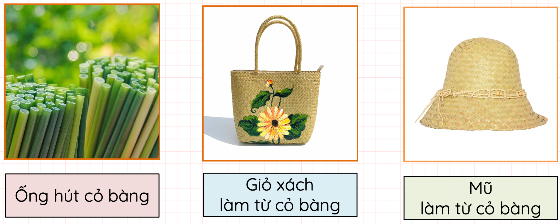 sản phẩm từ cỏ bàng