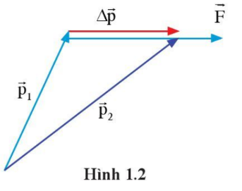 Hướng của hợp lực theo hướng của độ thay đổi động lượng