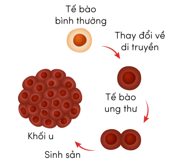 KHTN 6, khối u