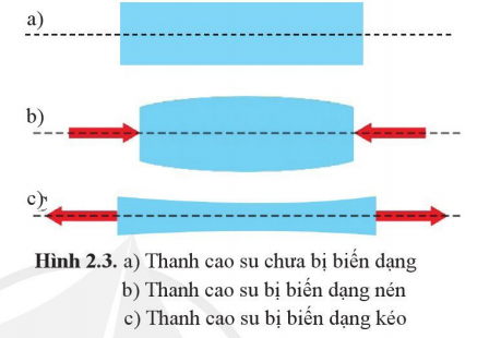 Thanh cao su chưa bị biến dạng, bị biến dạng nén và bị biến dạng kéo