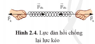 Lò xo bị kéo hoặc nén