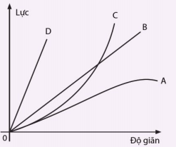 Đồ thị lực - độ giãn của các lò xo